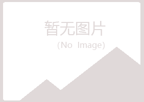 岢岚县盼夏机械有限公司